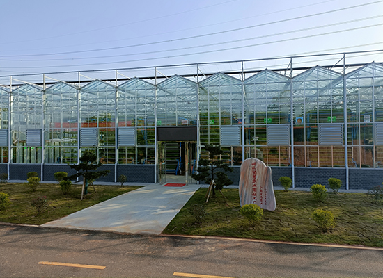 赫山智慧农业育秧工厂